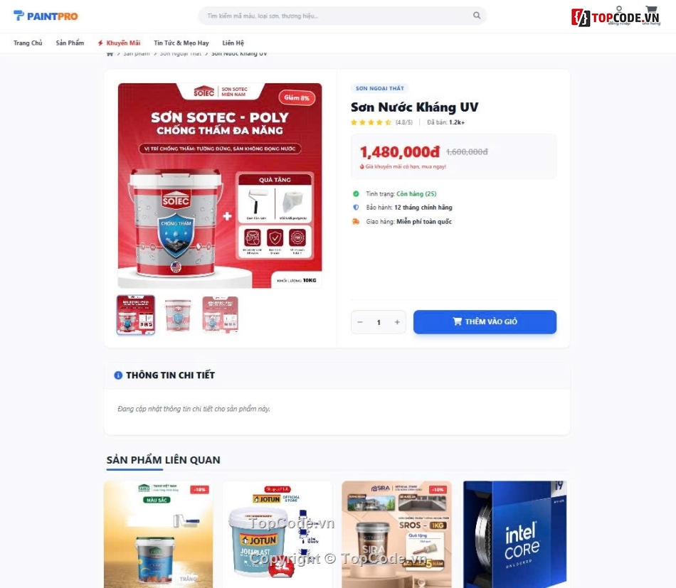 giao diện web,web bán sơn,web app